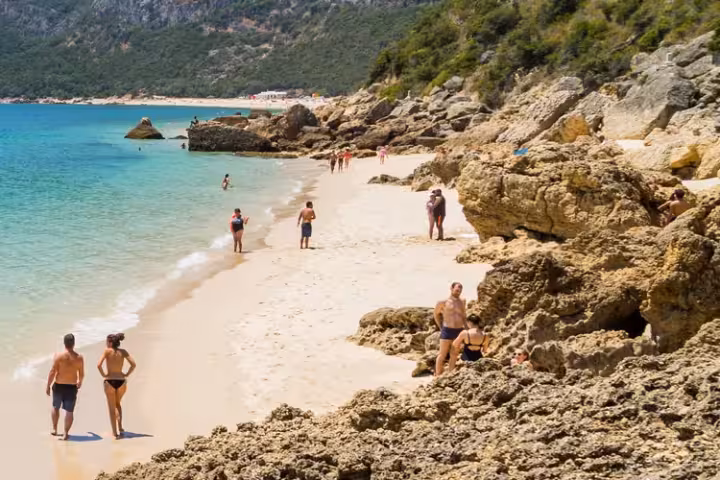 Dolphin Watching Near Lisbon (2027): Sesimbra or Setúbal, Which Trip to Choose and the Rules
