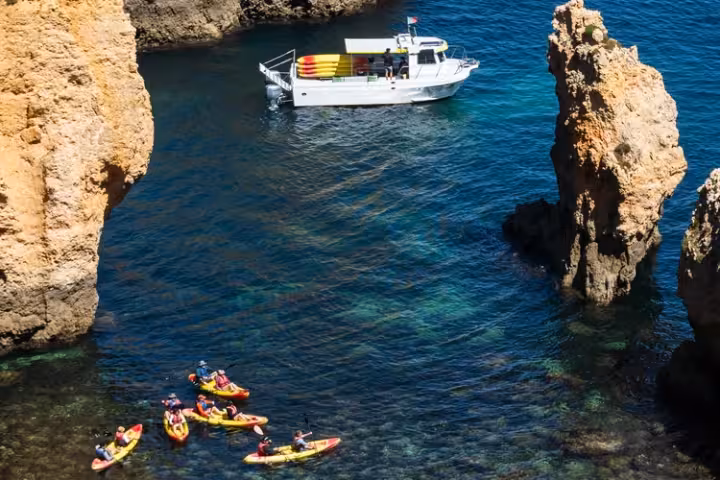 Algarve Dolphin Species: Complete Watching Guide | ToursXplorer