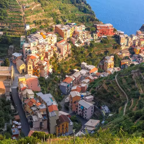 Manarola and its vine terraces above the sea in the Cinque Terre