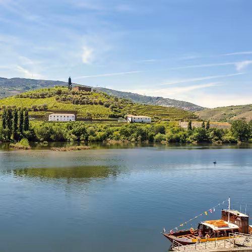 Malerische Aussicht auf üppige Weinberge und den ruhigen Fluss im Douro-Tal, Régua, einem Top-Reiseziel in der Region Norte, Portugal.