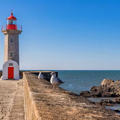 Farol da Foz do Douro e vista costeira com gaivotas empoleiradas no cais de pedra, na Região Norte de Portugal.