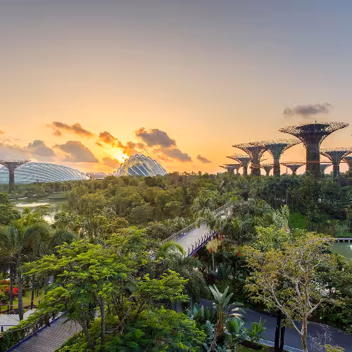 Veduta panoramica dei Gardens by the Bay di Singapore, con l'iconico Supertree Grove e il Flower Dome al tramonto.