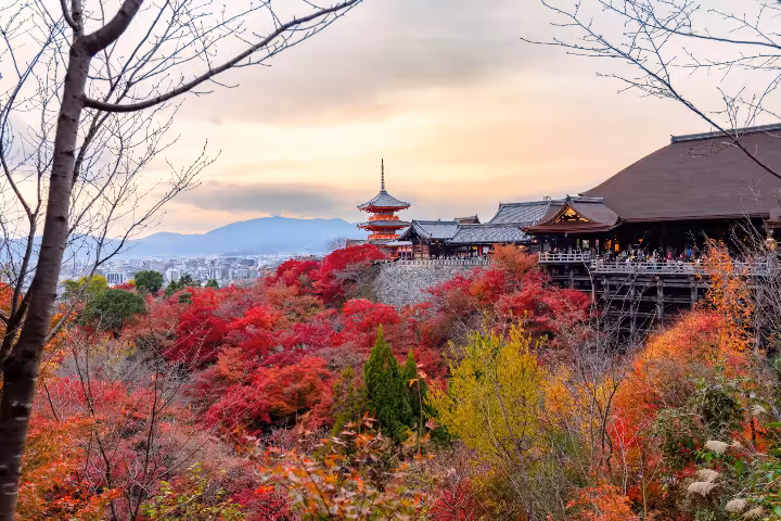 Kiyomizu-dera Temple pagoda surrounded by vibrant autumn red foliage at sunset with panoramic Kyoto cityscape and misty mountains in the background, a must-visit landmark on Tokyo and Kyoto cultural sightseeing tours.