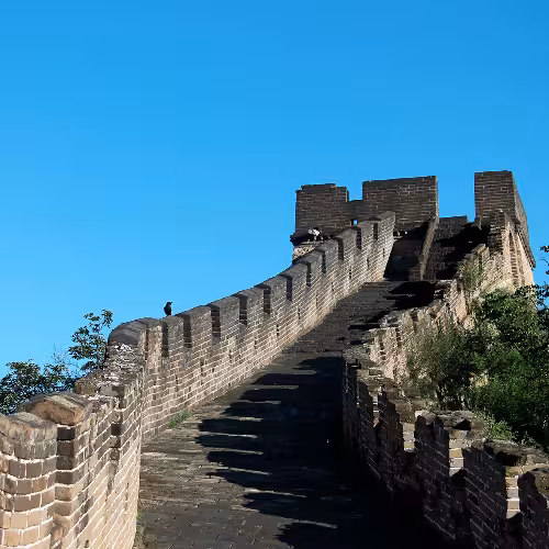 Vista da histórica Grande Muralha em Mutianyu, Pequim, exibindo arquitetura antiga e vegetação exuberante sob um céu azul claro.