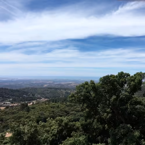 Scenic view of Serra de Monchique's lush landscape and rolling hills in the Algarve region, Portugal.