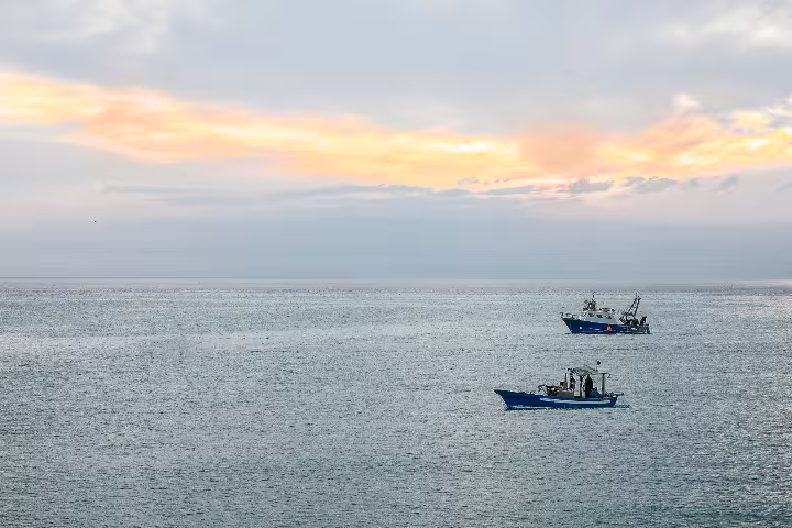 Sport Fishing Adventures in the Algarve with Toursxplorer