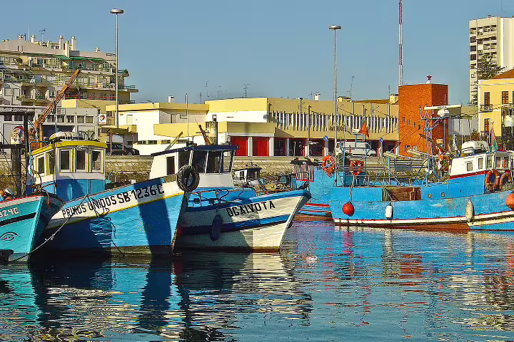 Sport Fishing in Lisbon & Setúbal – ToursXplorer Guide