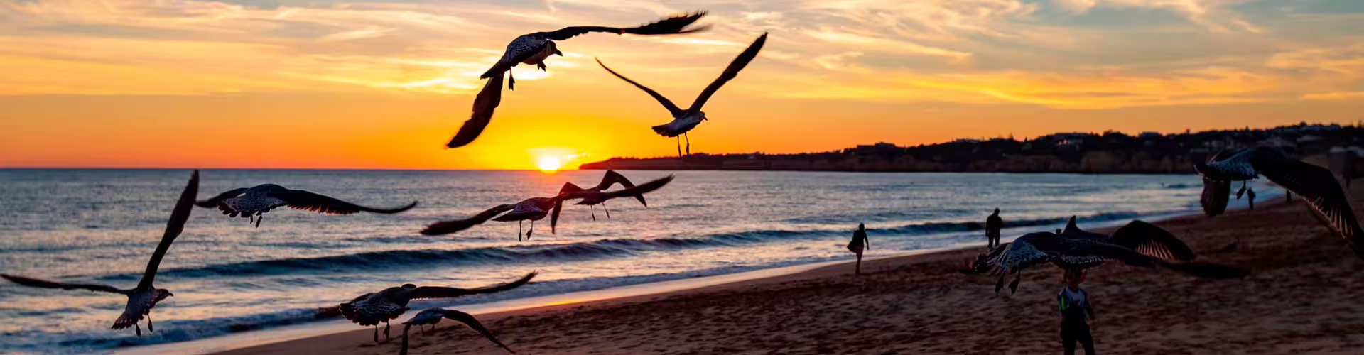 Sunset over Armação de Pêra beach with seagulls soaring above the ocean waves, capturing the serene beauty of this popular Algarve destination.