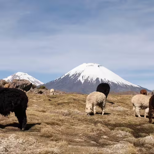 Chile - Tours
