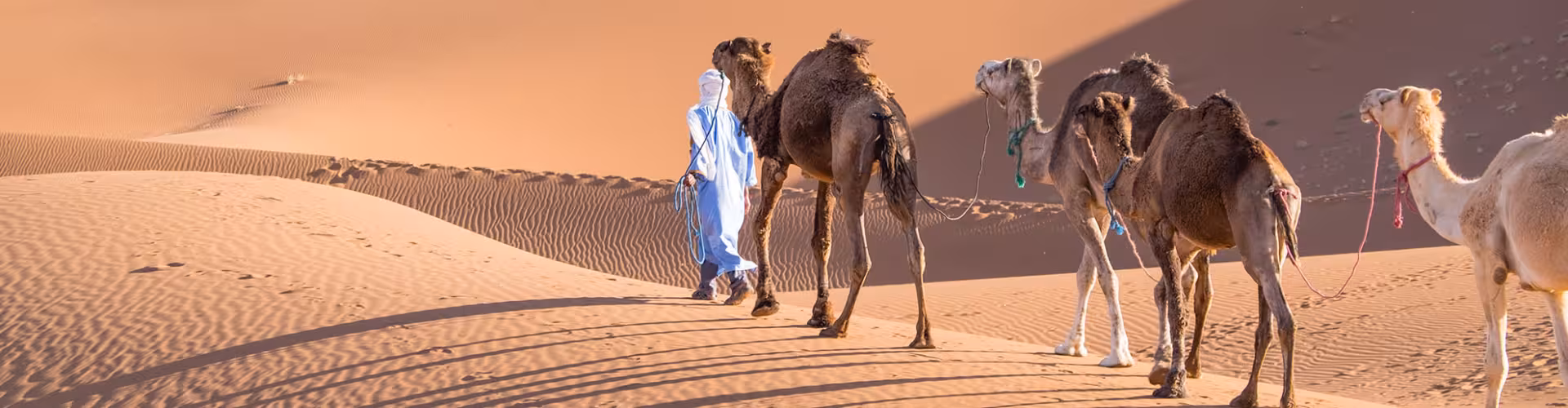 Camel caravan trekking across the golden dunes of Erg Chigaga, Morocco Sahara Desert near M’Hamid, a top destination for desert tours, luxury camps and sunset adventures