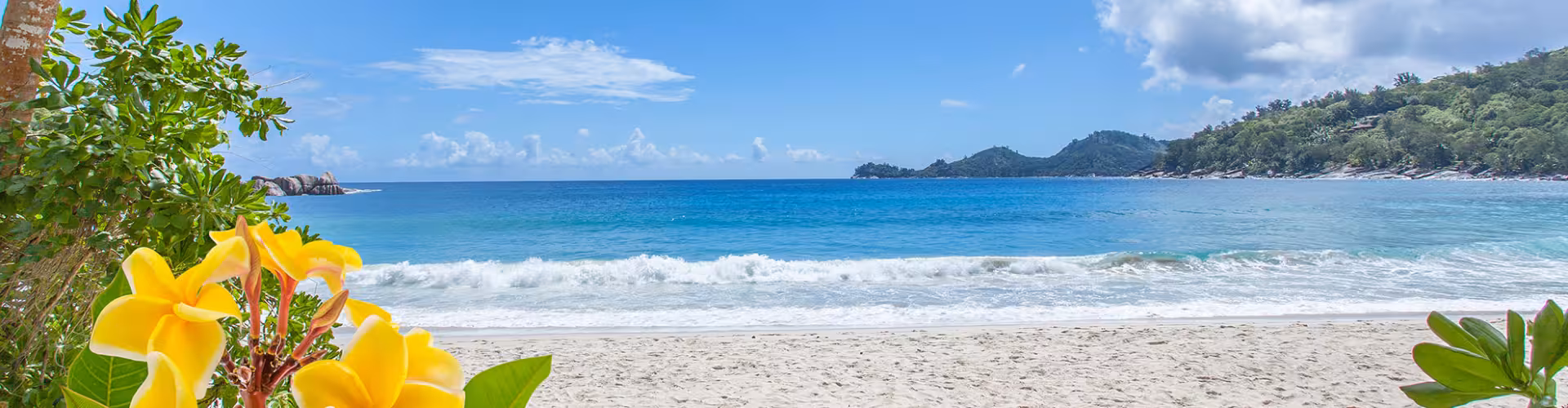 Tropical beach with vibrant yellow flowers and lush greenery overlooking the turquoise waters of Mont Fleuri, perfect for a serene getaway.