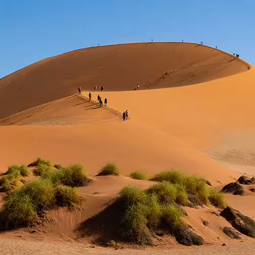 Namibia - Tours