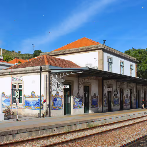 Pinhão