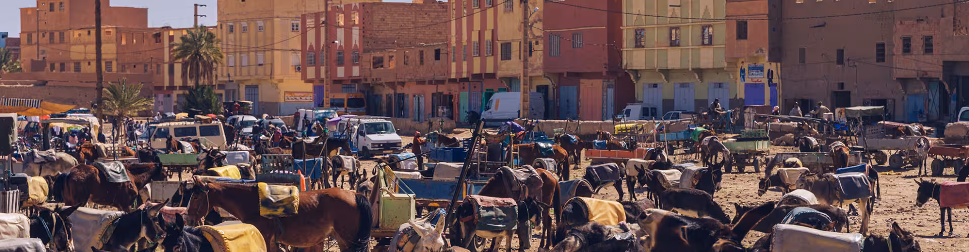 Bustling Rissani donkey market in Morocco with traditional carts and desert town buildings near the gateway to the Sahara and Merzouga dunes.