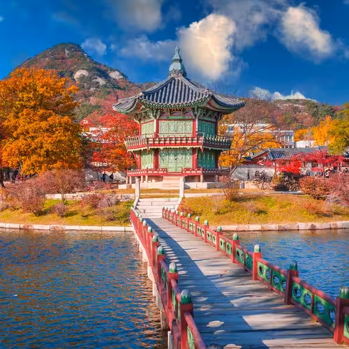 South Korea - Tours