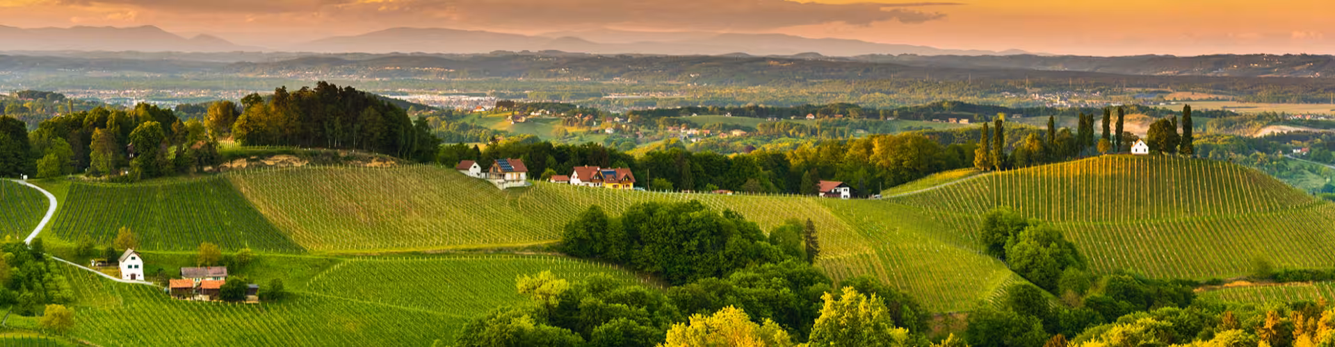 Panoramic sunset view of rolling vineyards and hilltop farmhouses in Styria, Austria’s South Styrian Wine Road (Südsteirische Weinstraße), a top destination for wine tasting and countryside getaways.