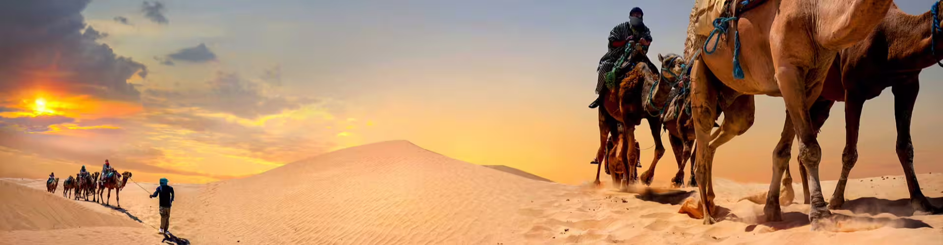 Camel caravan traversing the golden dunes of the Sahara Desert at sunset, offering a quintessential Tunisian adventure experience.