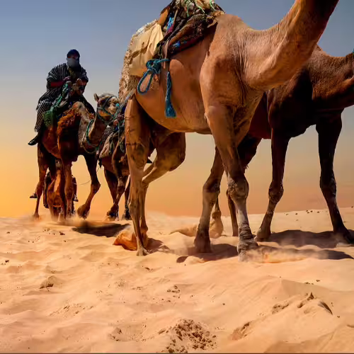 Tunisia - Tours