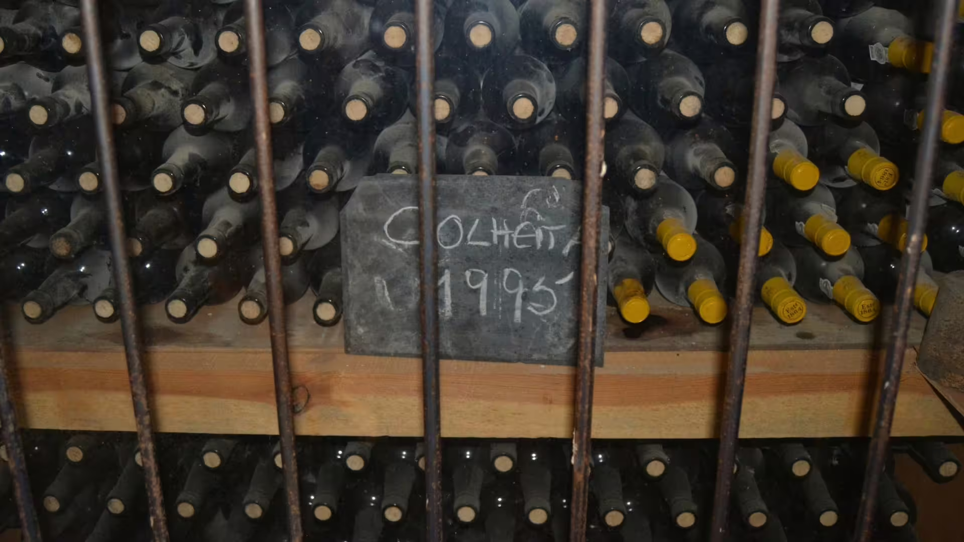 Image of several 1995 old Port Wine bottles
