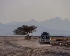 4x4 jeep driving through desert landscape near acacia tree with mountains in background in Marsa Alam