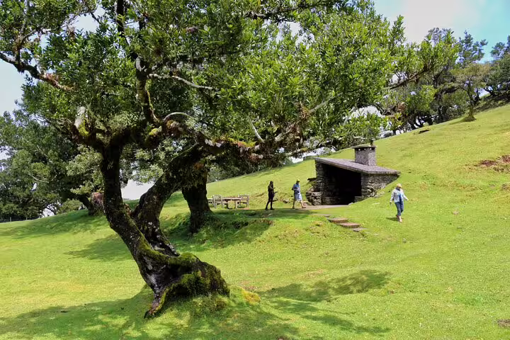 People exploring lush green landscapes and rustic stone shelter on a 4x4 tour in the northwest frontiers beyond Madeira.