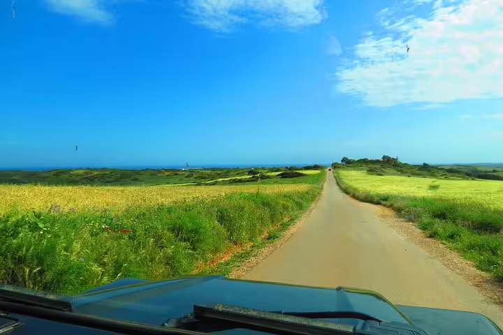 Scenic coastal road view from a 4x4 vehicle showcasing lush greenery and ocean horizon on a West Coast tour.