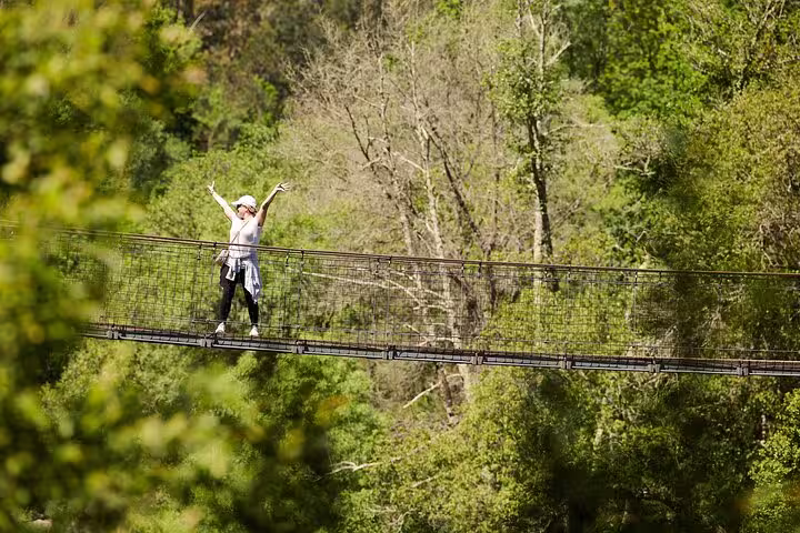 Traveler celebrating on the 516 Arouca Suspension Bridge surrounded by vibrant forest landscape.