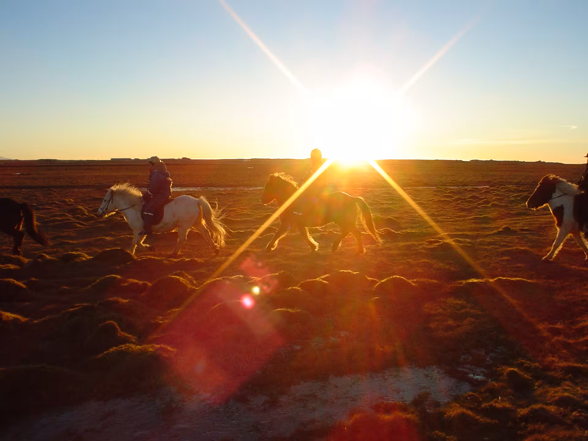 Scenic Horse Riding Guided Tour Through Farm Surroundings