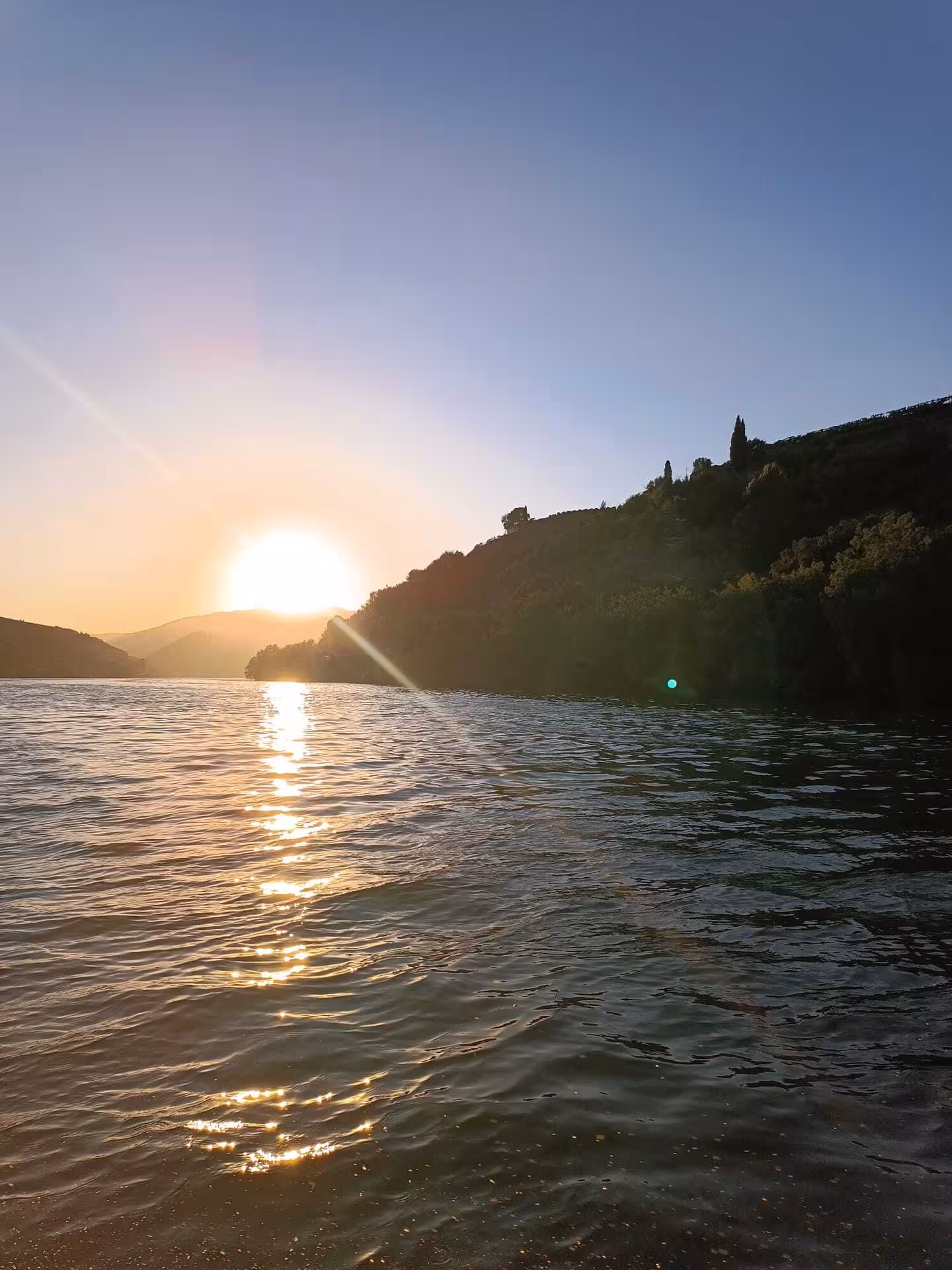 Golden sunset reflecting on the Douro River with terraced vineyard hills during a scenic boat tour from Pinhão
