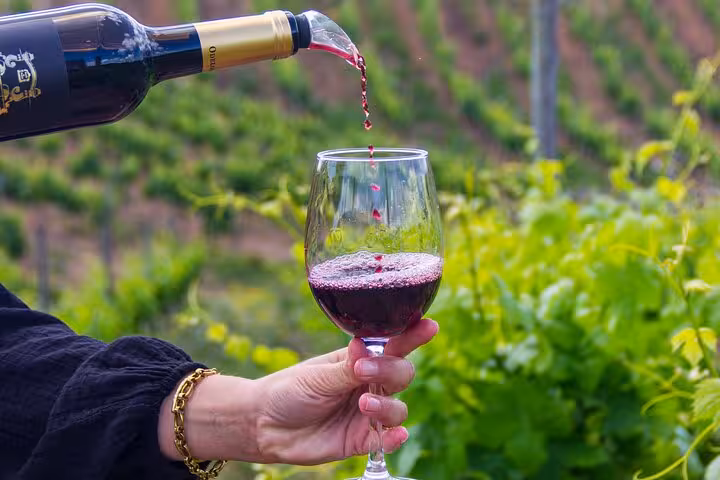 Rich red wine being poured into a glass at an Albufeira boutique winery tour amid lush green vineyard rows