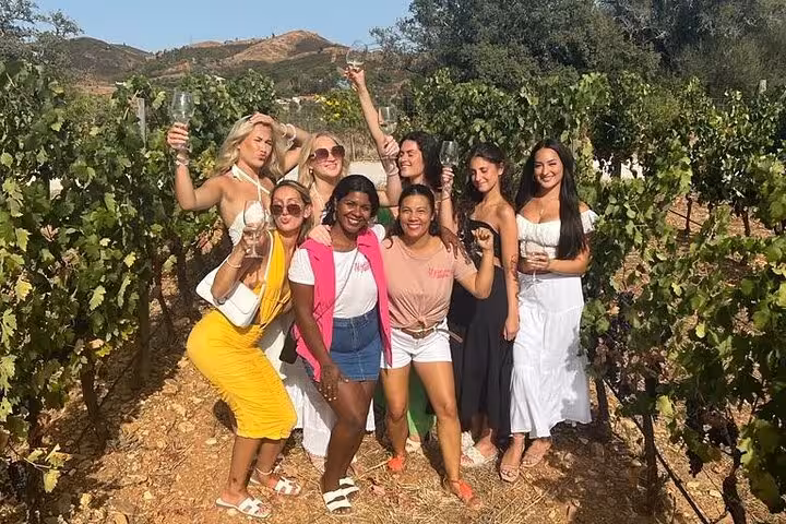 Joyful group of women celebrating with wine glasses amid sun-drenched Algarve vineyard on Albufeira wine tasting tour