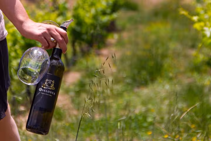 Hand holding Odelouca wine bottle with glass amid lush vineyard on boutique winery tour near Albufeira