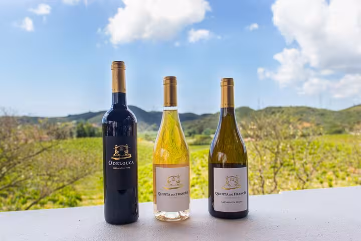 Three Quinta do Frances wine bottles including red and white varieties displayed against lush Algarve vineyard landscape