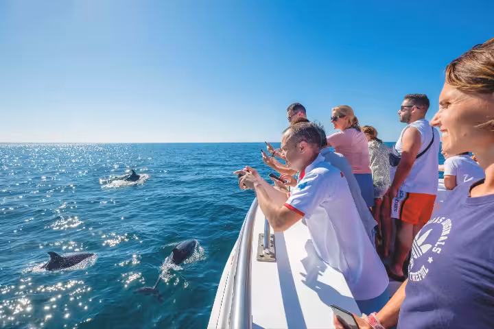 Excited tourists photographing wild dolphins from a catamaran deck on a Portimao dolphin watching tour Algarve
