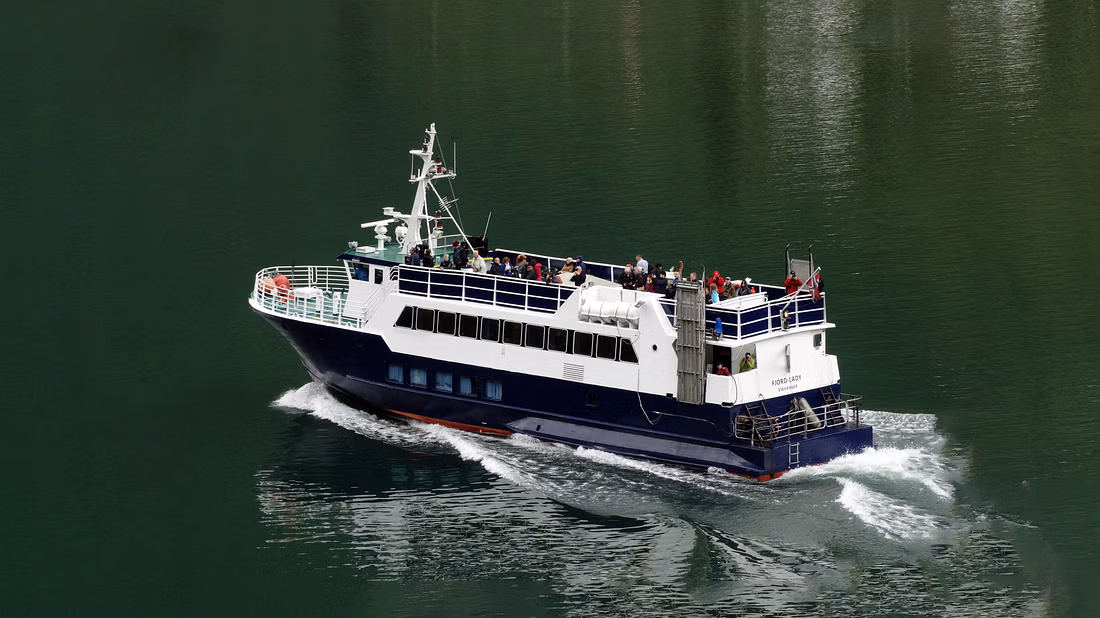 A cover photo for a whale watching tour featuring a drone shot of a vessel, a seal and a whale tail poking out of the sea