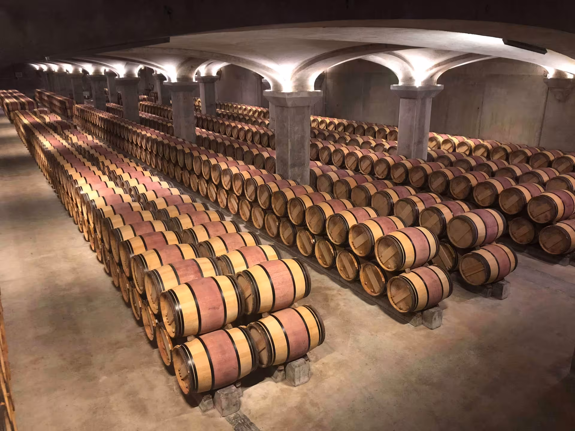 Rows of oak aging barrels in a Greek winery cellar visited during a private Mycenae and Nafplio full-day tour