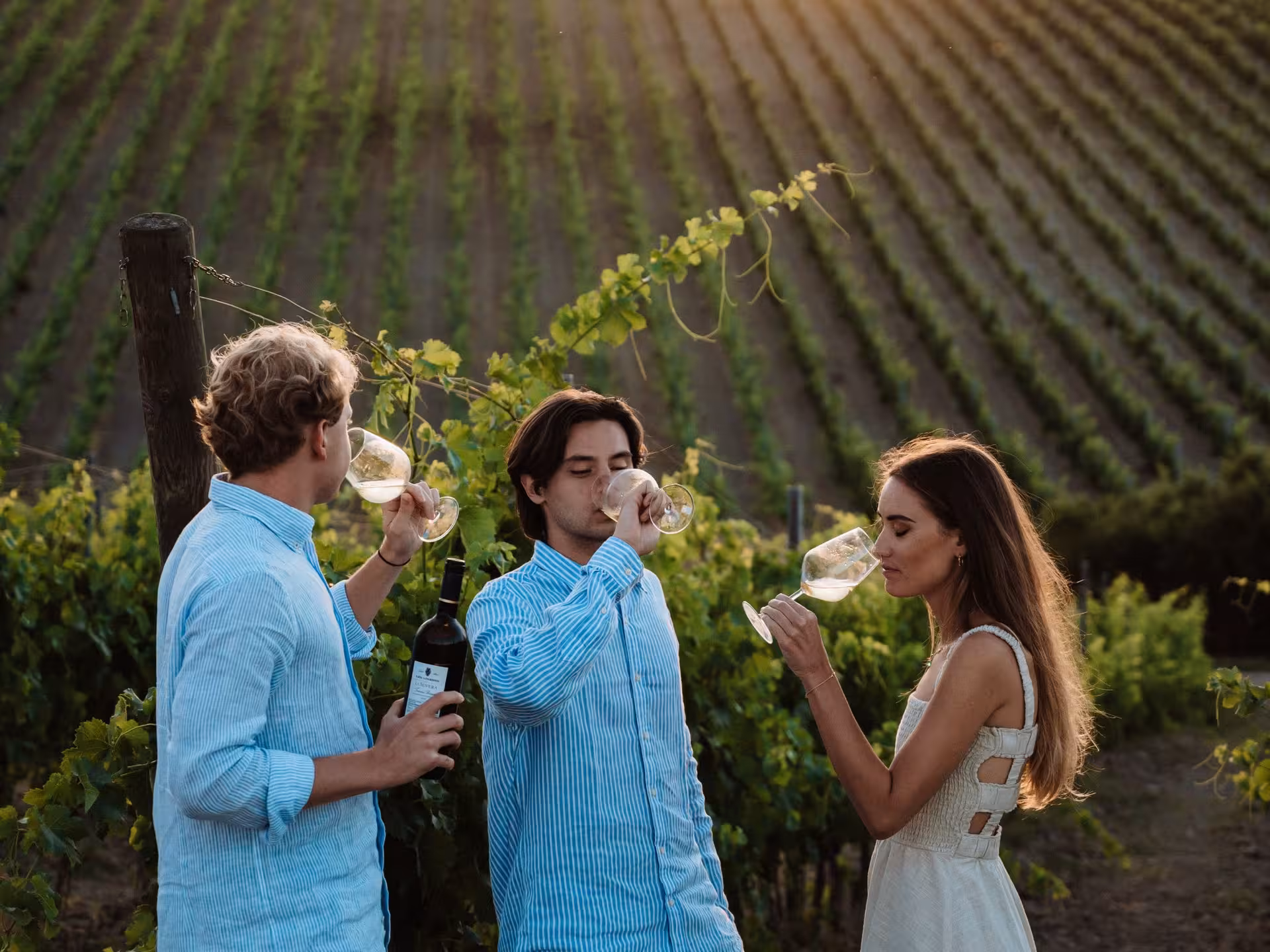 Group enjoying wine tasting in a scenic Tuscan vineyard near Pisa, highlighting the lush vineyard rows.