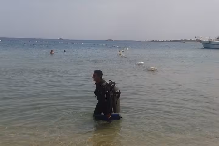 Scuba diver wading into Abu Dabab Bay National Park, Red Sea turtle and dugong trip from Hurghada