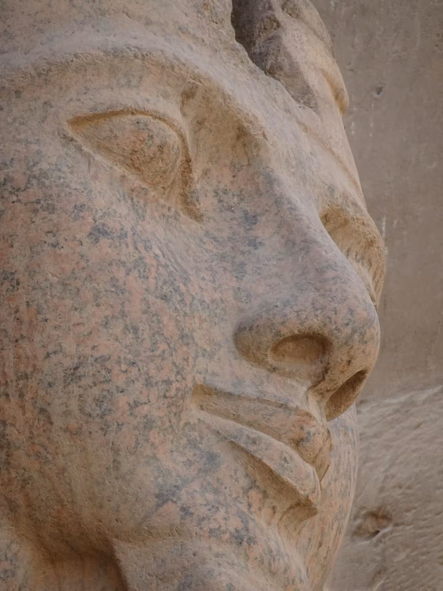 Ancient Egyptian granite sphinx head close-up at Abu Simbel Temples, Aswan