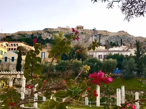 Acropolis skyline over the Ancient Agora gardens, scenic stop on Anastasia’s private Athens walking food experience