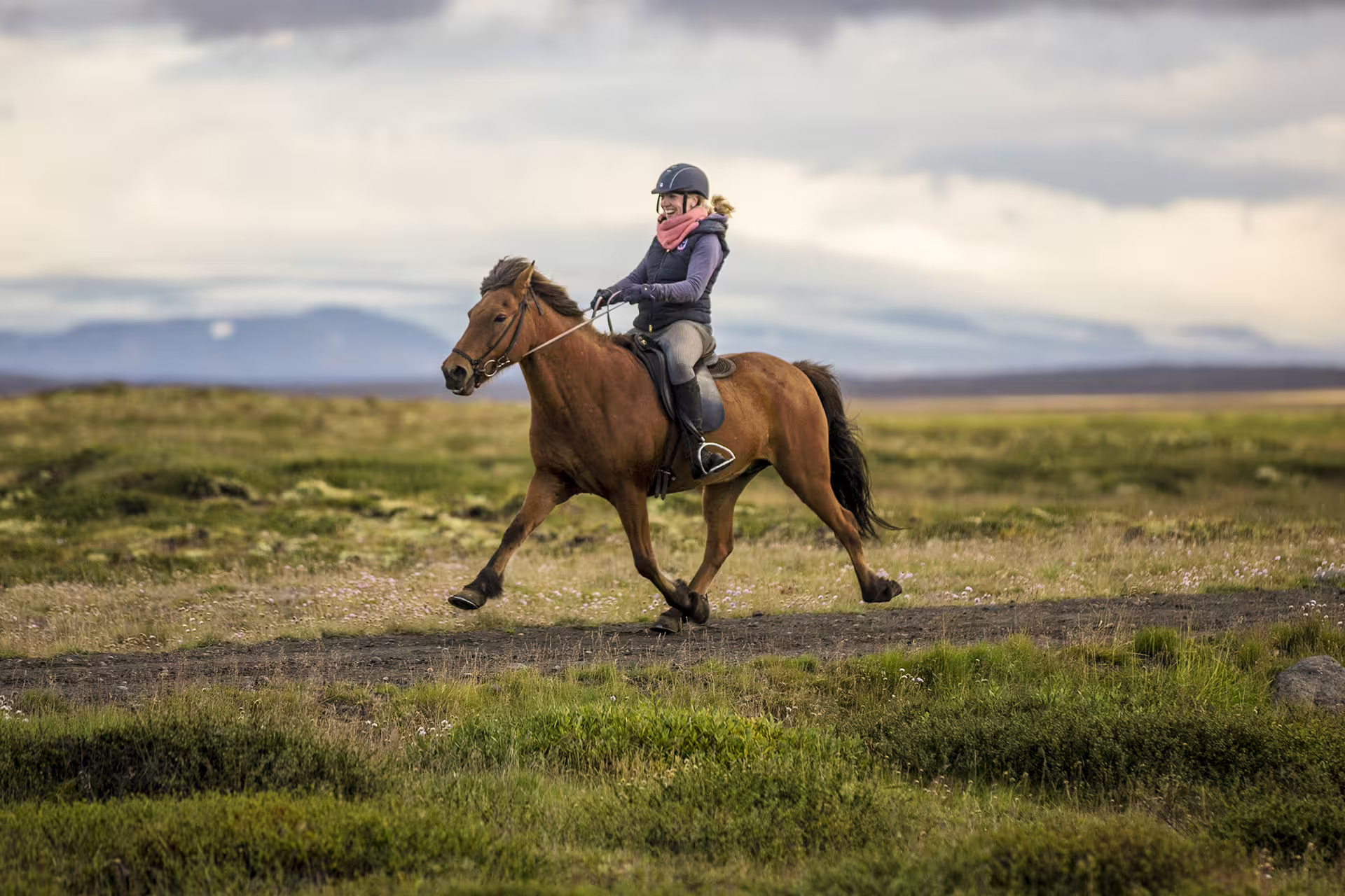 Woman in riding helmet cantering on chestnut Icelandic horse across green Icelandic highland landscape
