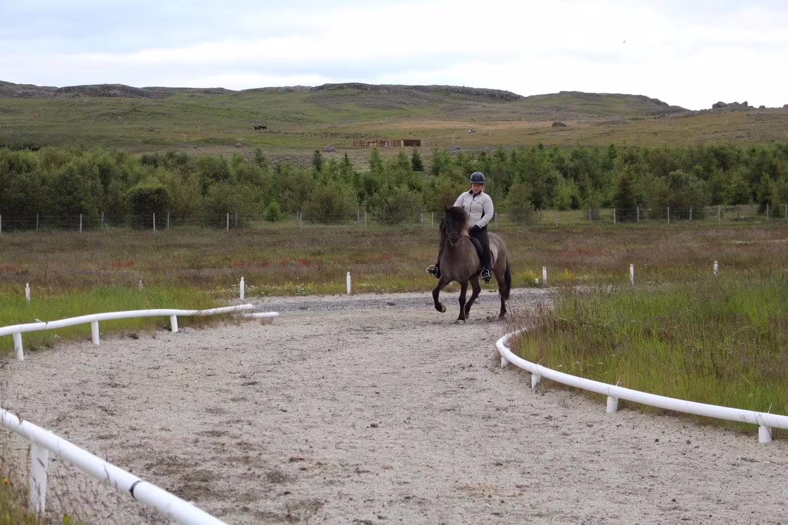 Advanced rider on dark Icelandic horse trotting along sandy track with green Icelandic landscape behind