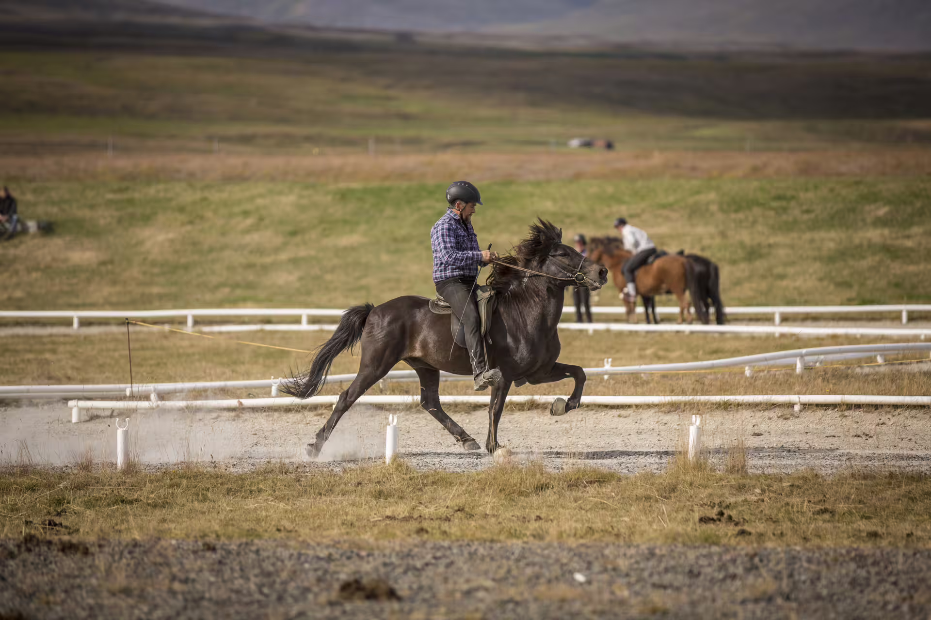 Advanced rider on dark Icelandic horse galloping along white-fenced track in open Icelandic landscape
