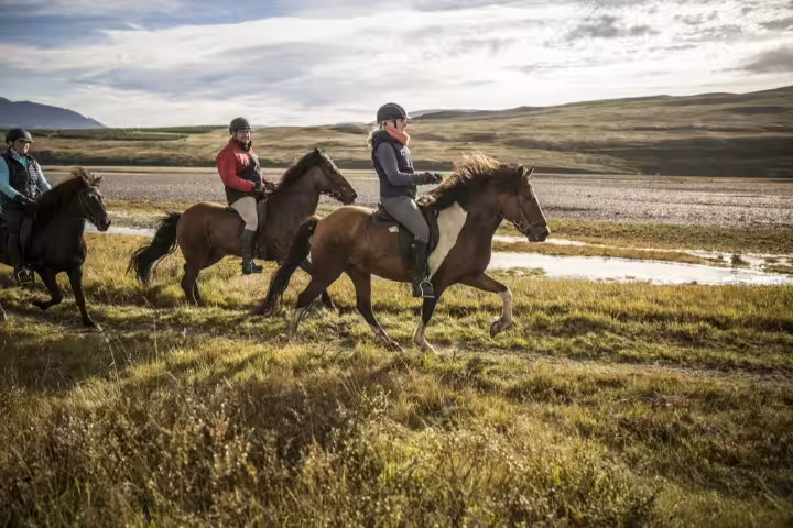 Three riders on Icelandic horses galloping through green fields with mountain backdrop in Iceland