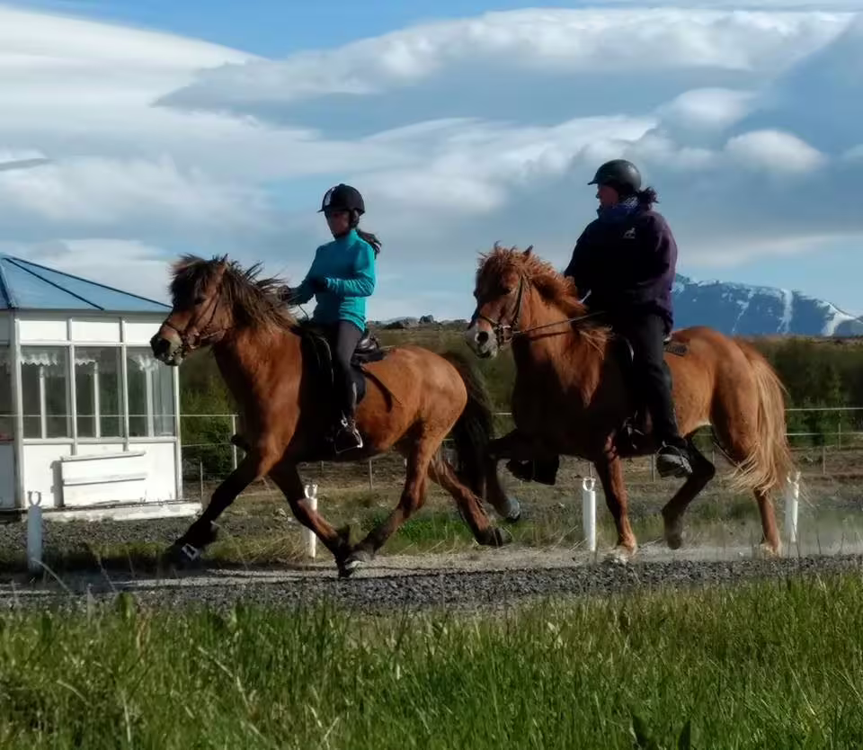 Two riders on Icelandic horses galloping across Iceland landscape with snow-capped mountains in background