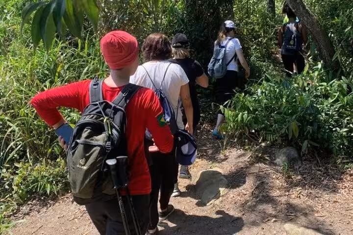 Adventure group trekking through dense forest trail at Peak Sugar Bread experience.