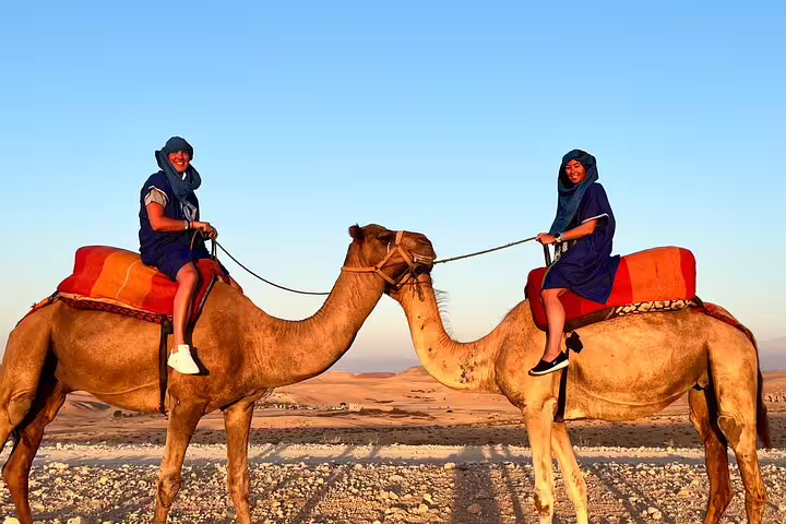 Tourists riding camels in Agafay Desert near Marrakech, traditional saddles and blue sky on sunset tour