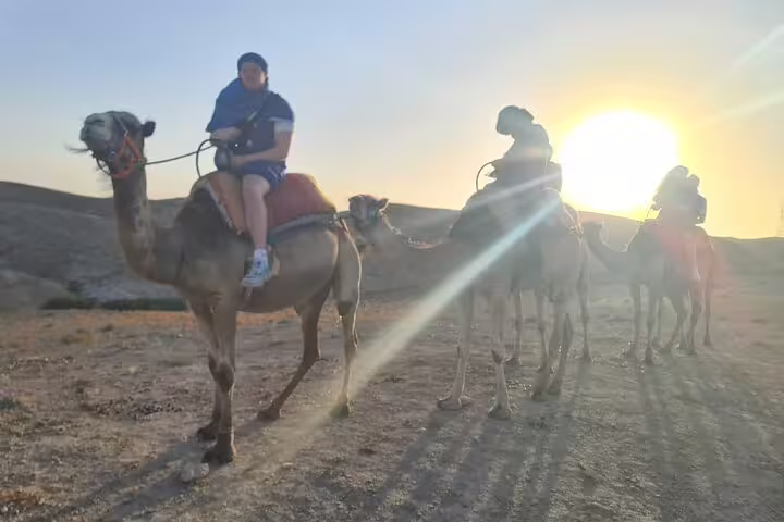 Camel caravan at sunset in Agafay Desert near Marrakech, guided camel ride tour across rocky dunes