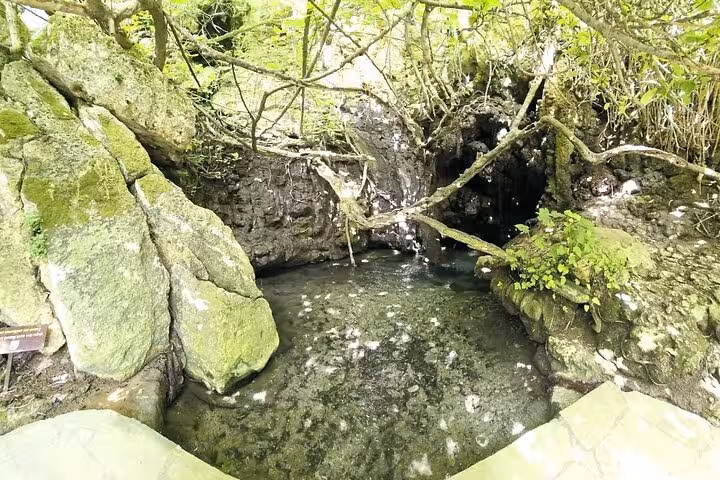 Freshwater pool and small waterfall in Akamas forest, nature stop on Blue Lagoon Akamas bus and boat tour from Paphos
