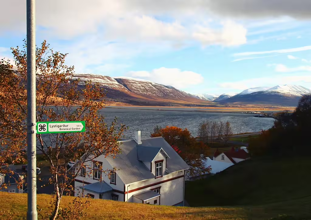 Akureyri fjord view with snow-capped mountains, colorful autumn trees, and traditional Icelandic houses